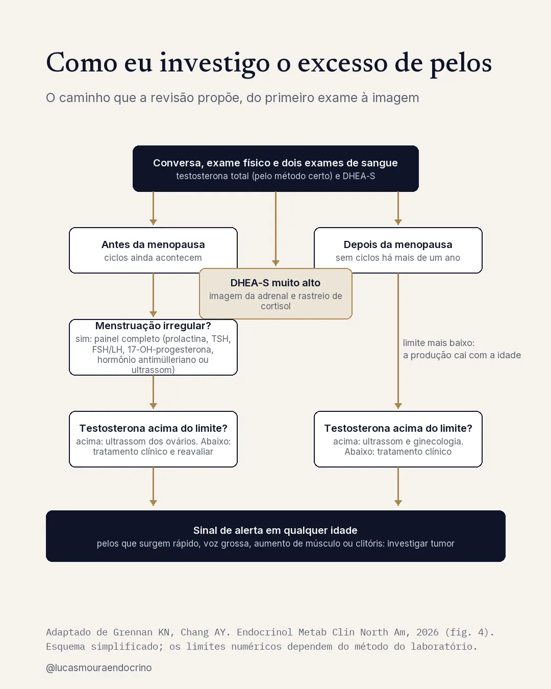 Caminho simplificado da investigação do excesso de pelos