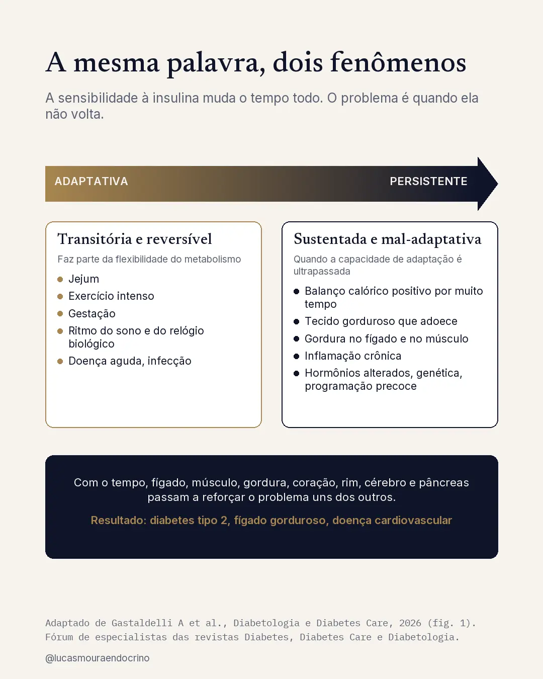 Resistência à insulina adaptativa e persistente: a mesma palavra para dois fenômenos. Redesenhado a partir da figura 1 de Gastaldelli et al., 2026.