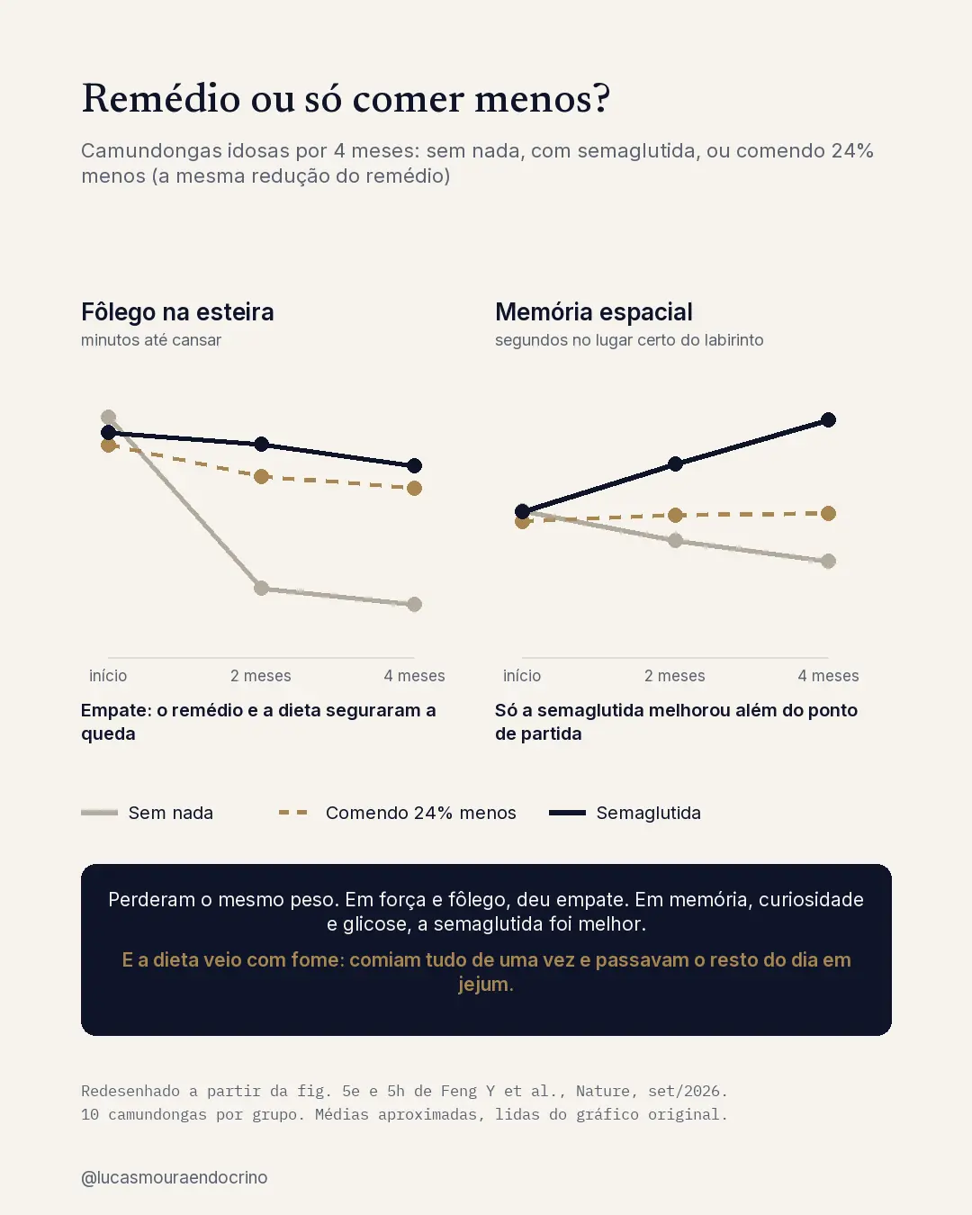 Comparação por quatro meses: no fôlego, semaglutida e dieta empataram; na memória espacial, só a semaglutida melhorou acima do ponto de partida.