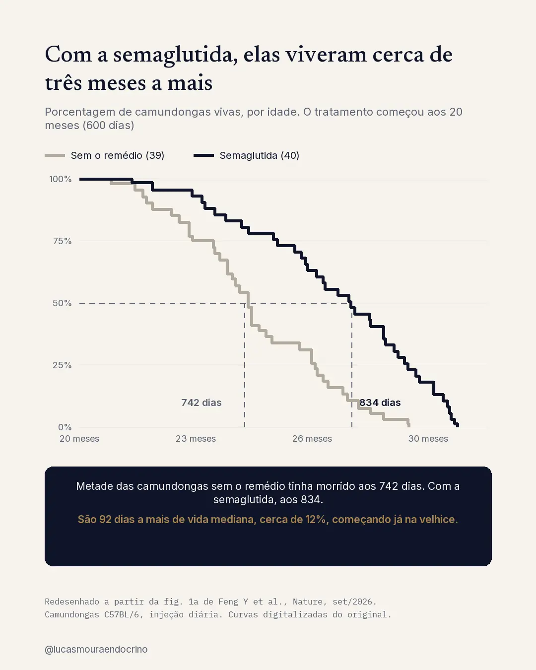 Curvas de sobrevida: metade das camundongas sem o remédio tinha morrido aos 742 dias; com semaglutida, aos 834 dias.